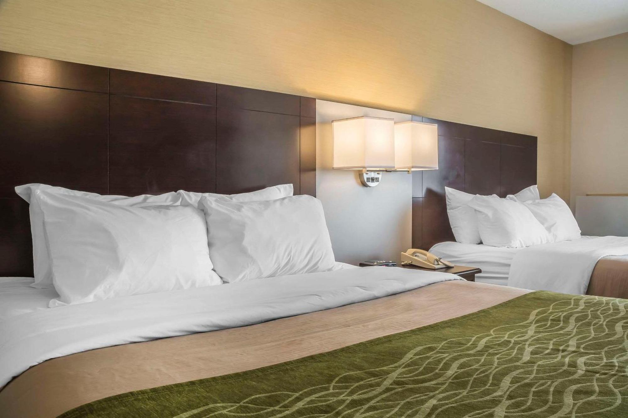 Comfort Inn Chatham-Kent Dış mekan fotoğraf