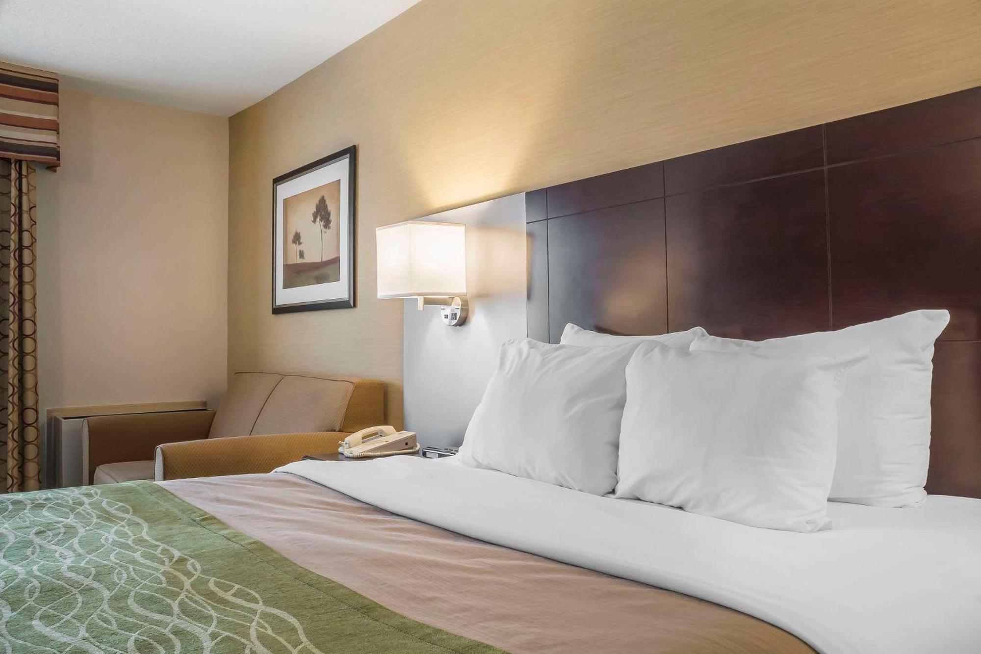 Comfort Inn Chatham-Kent Dış mekan fotoğraf