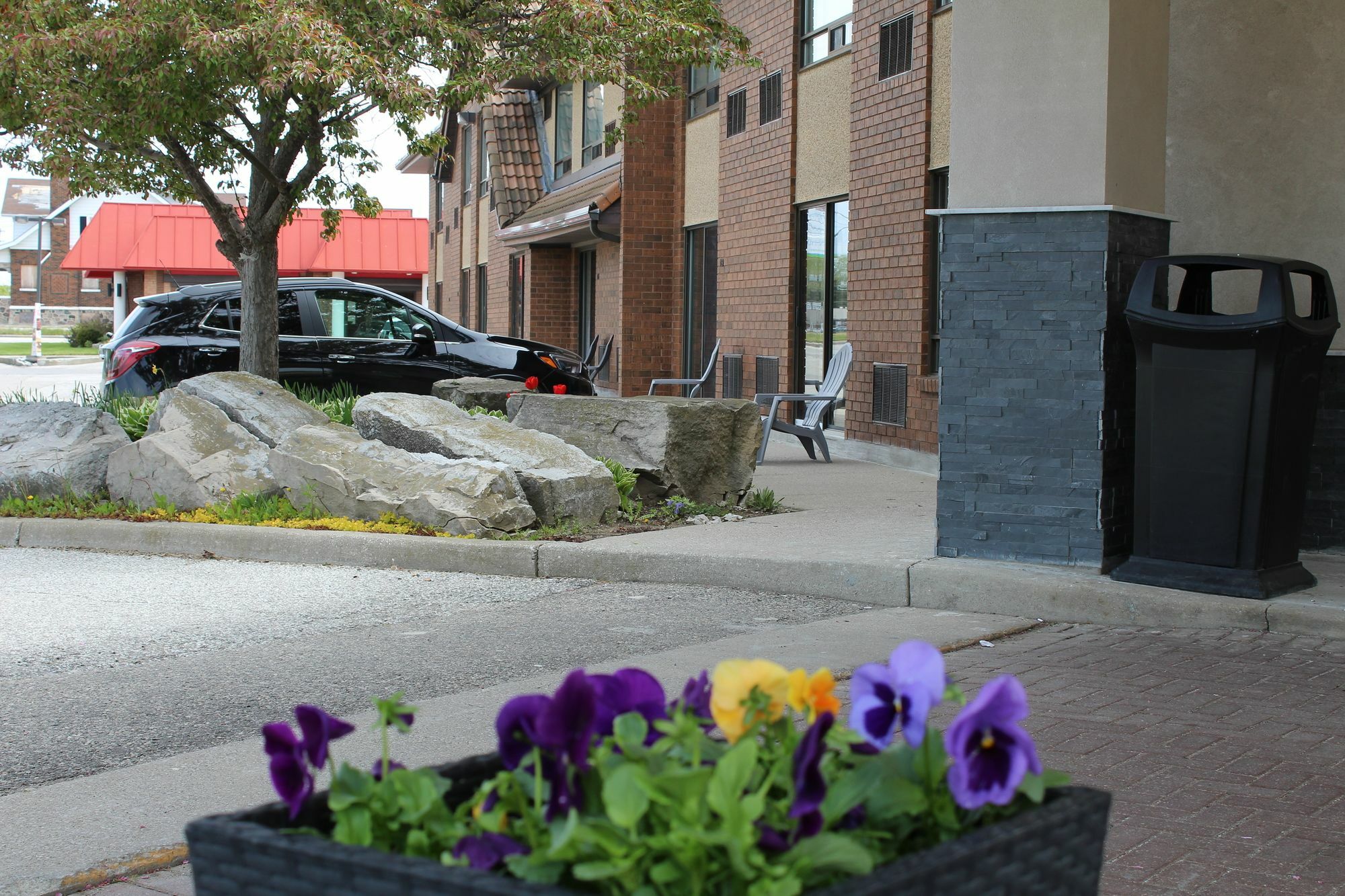 Comfort Inn Chatham-Kent Dış mekan fotoğraf