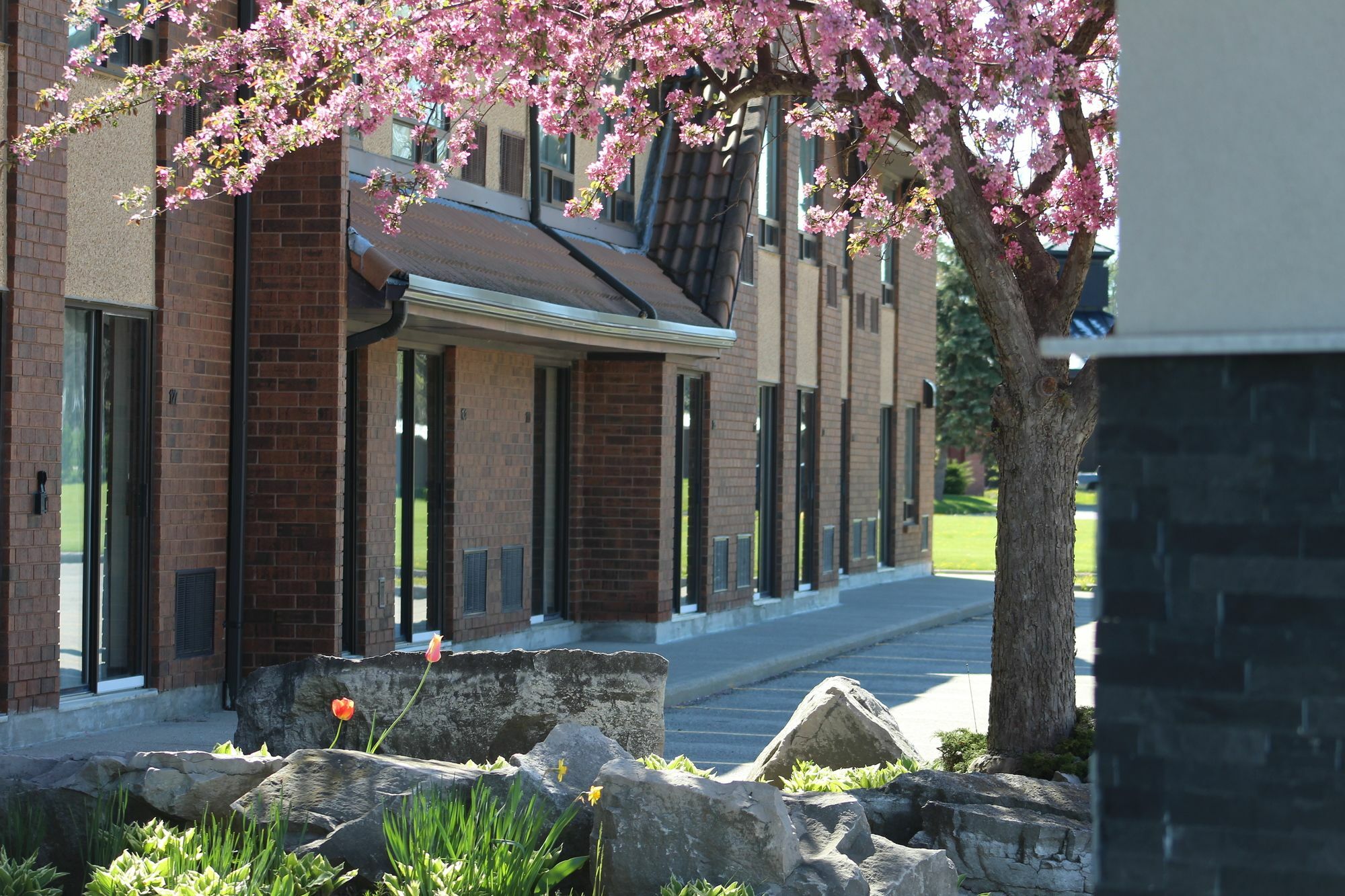 Comfort Inn Chatham-Kent Dış mekan fotoğraf